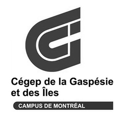 hb p Cegep Montreal
